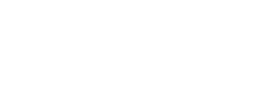 Icon for Betach Solutions representing referral partnership with F12
