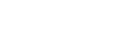 Icon for Betach Solutions representing referral partnership with F12