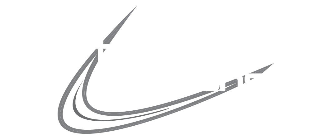 Twin Solutions Logo