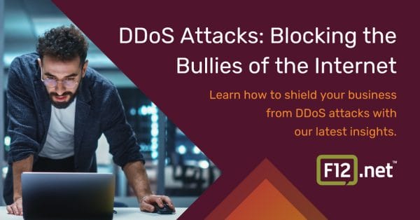 DDoS Attacks: Blocking the Bullies of the Internet