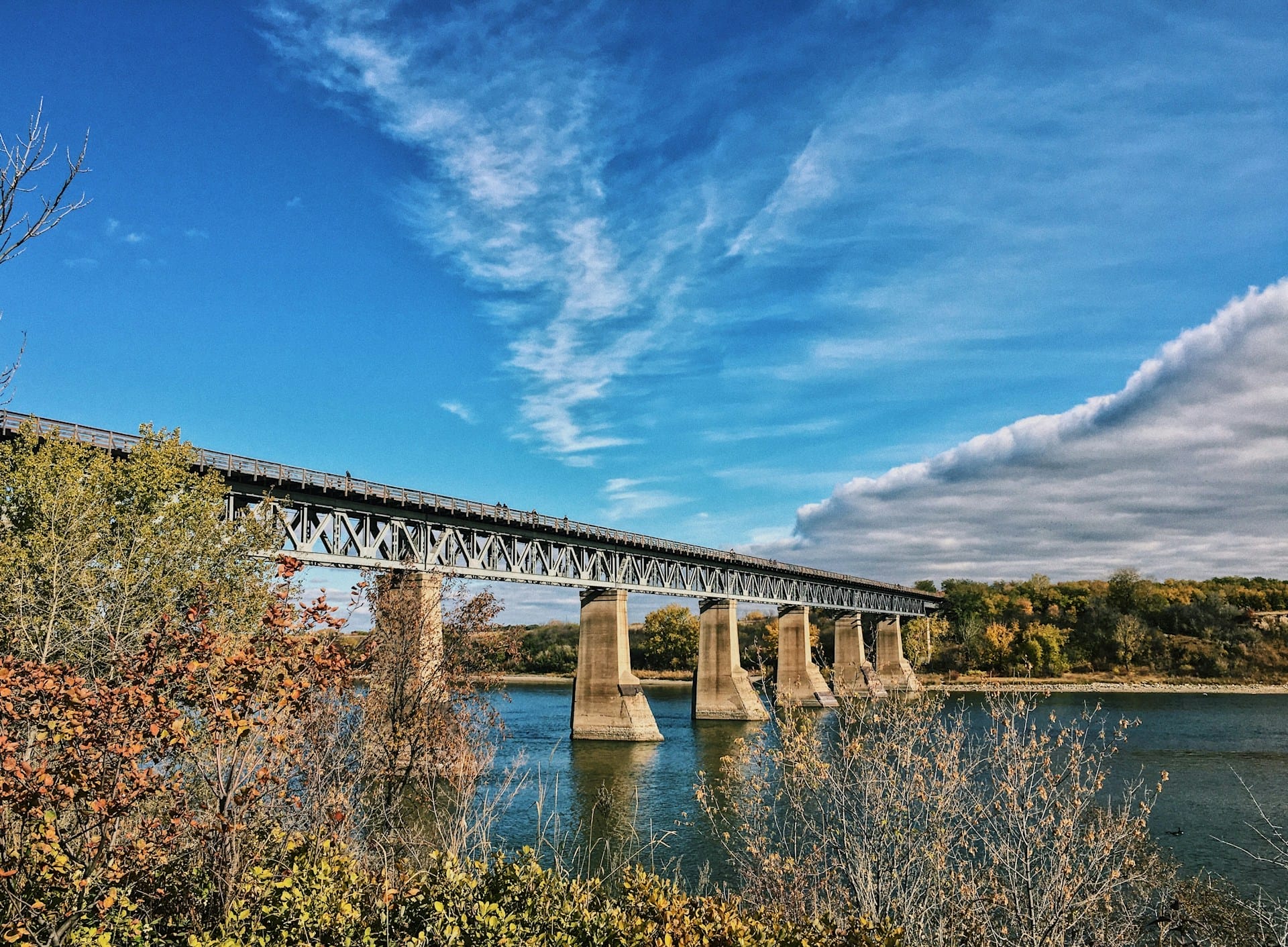 Woman walking down the street with a mobile device in Toronto, Canada